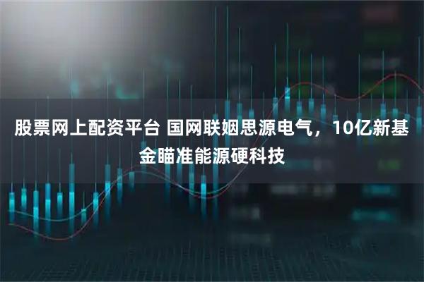 股票网上配资平台 国网联姻思源电气，10亿新基金瞄准能源硬科技
