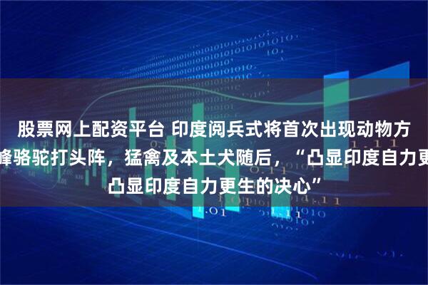 股票网上配资平台 印度阅兵式将首次出现动物方队：2匹双峰骆驼打头阵，猛禽及本土犬随后，“凸显印度自力更生的决心”