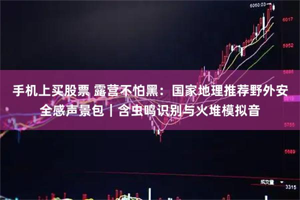 手机上买股票 露营不怕黑：国家地理推荐野外安全感声景包｜含虫鸣识别与火堆模拟音